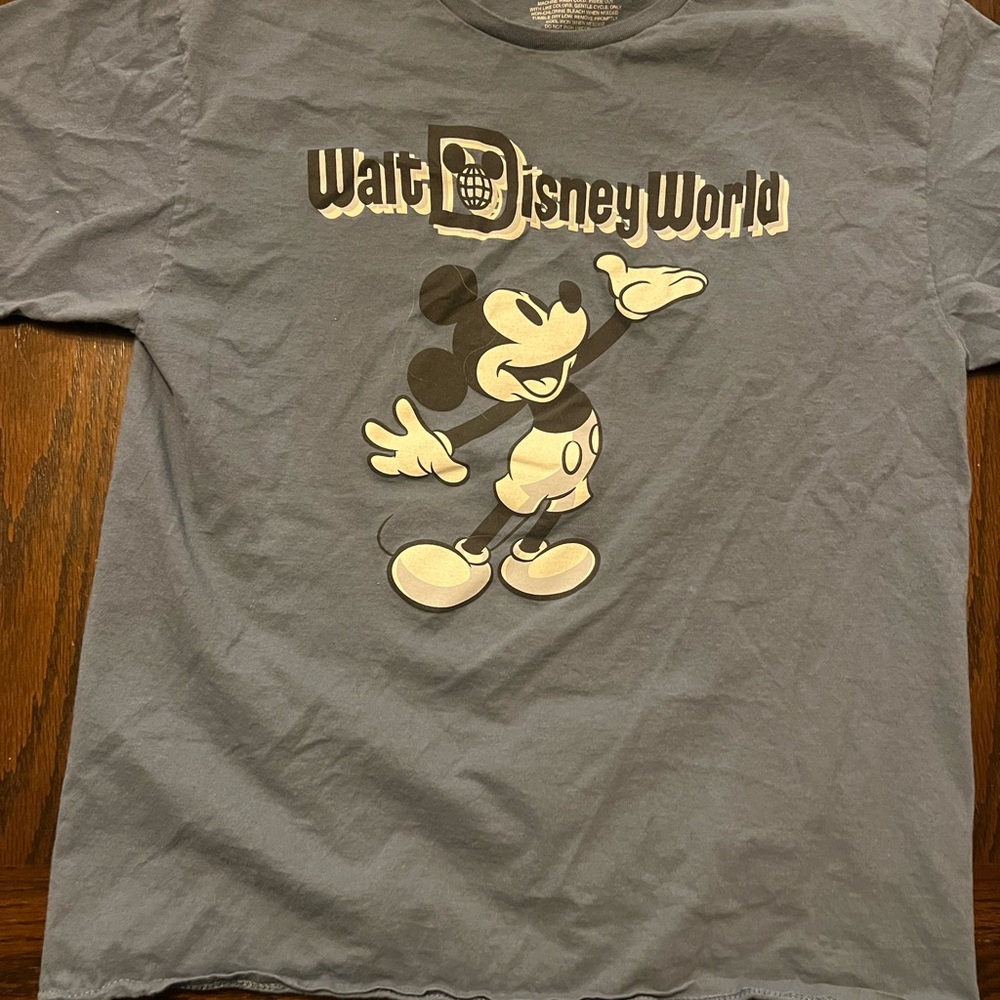 Walt Disney World Gray T‑Shirt Men’s Large